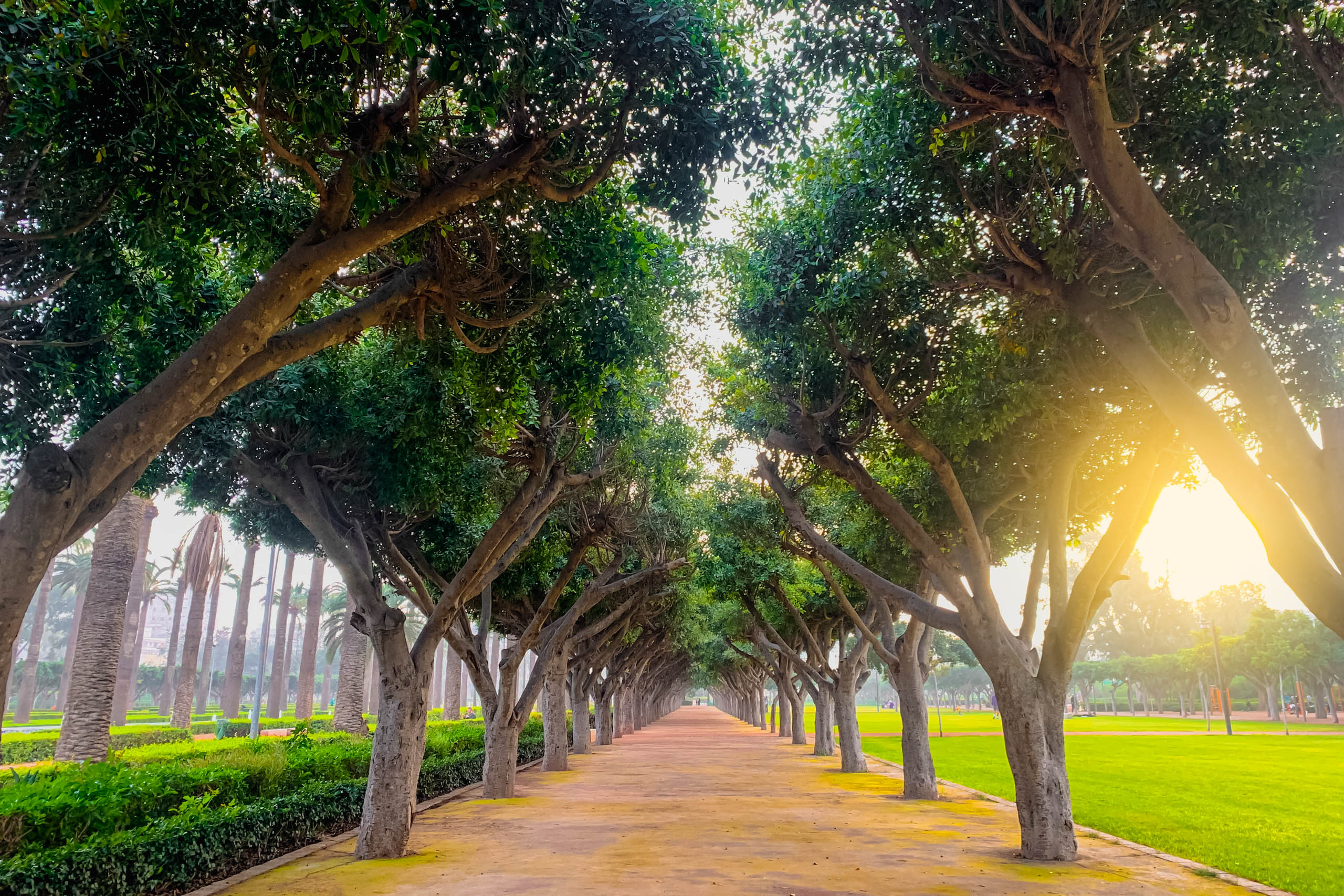 DreamDestinations-Website-Afbeeldingen-Bezienswaardigheden-Marokko-Casablanca-ArabLeaguePark-3