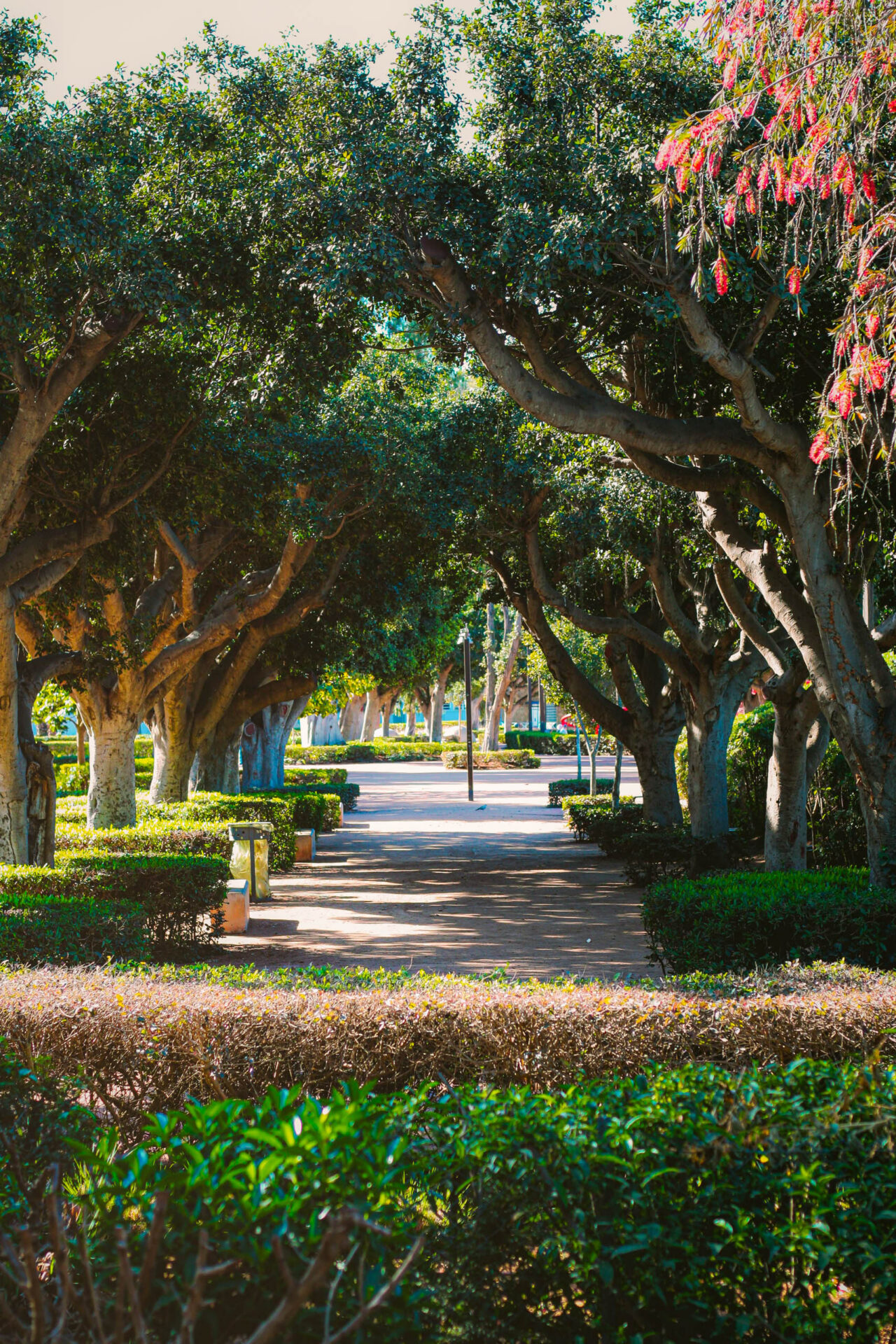 DreamDestinations-Website-Afbeeldingen-Bezienswaardigheden-Marokko-Casablanca-ArabLeaguePark-5