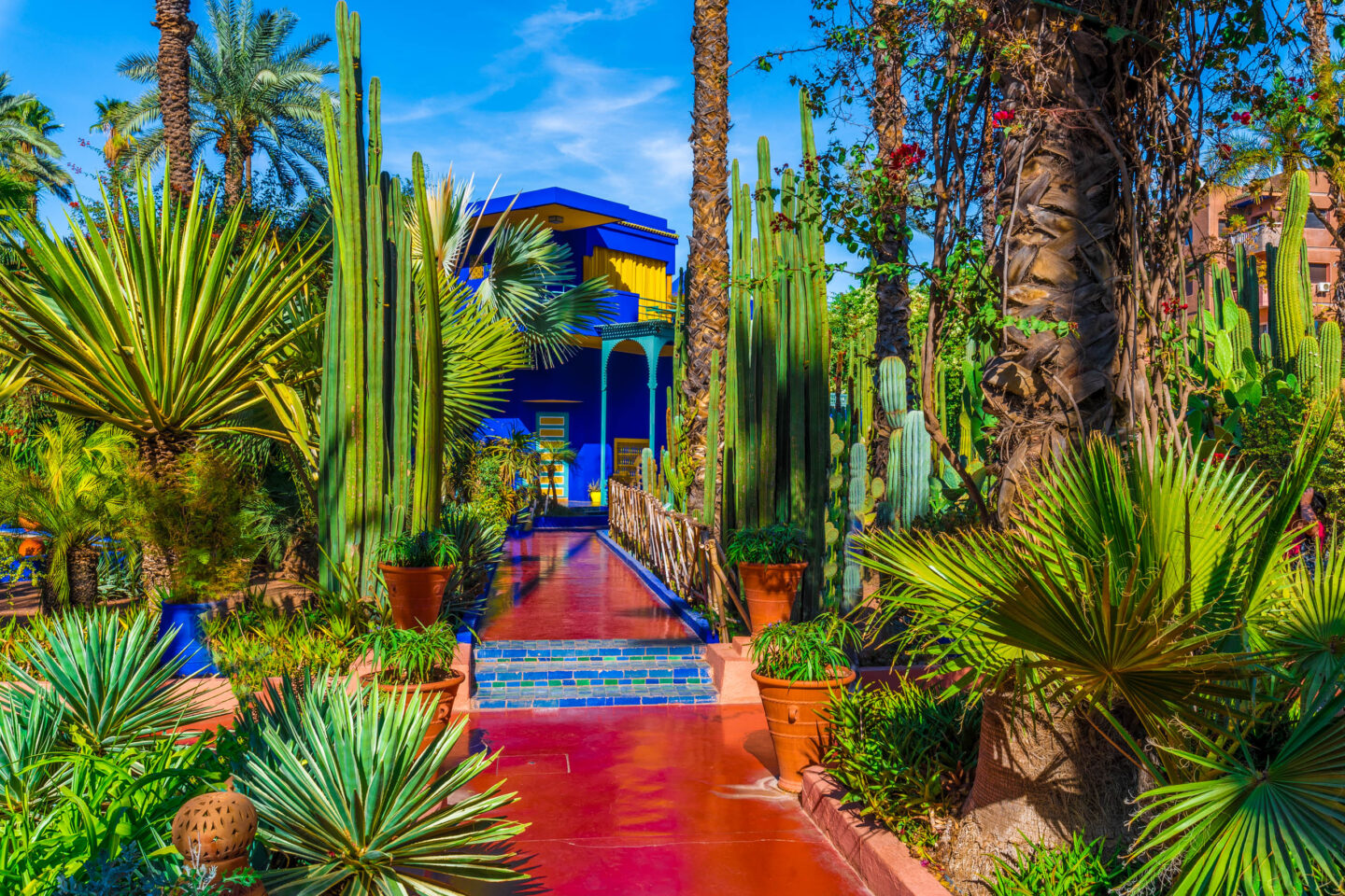 DreamDestinations-Website-Afbeeldingen-Bezienswaardigheden-Marokko-Marrakech-JardinMajorelle-1