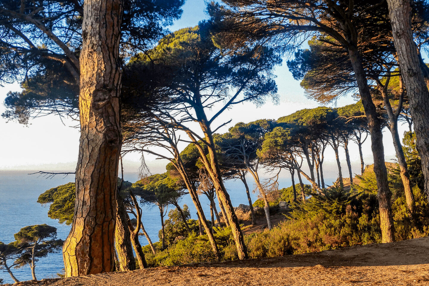 DreamDestinations-Website-Afbeeldingen-Bezienswaardigheden-Marokko-Tanger-ParcPerdicaris-2