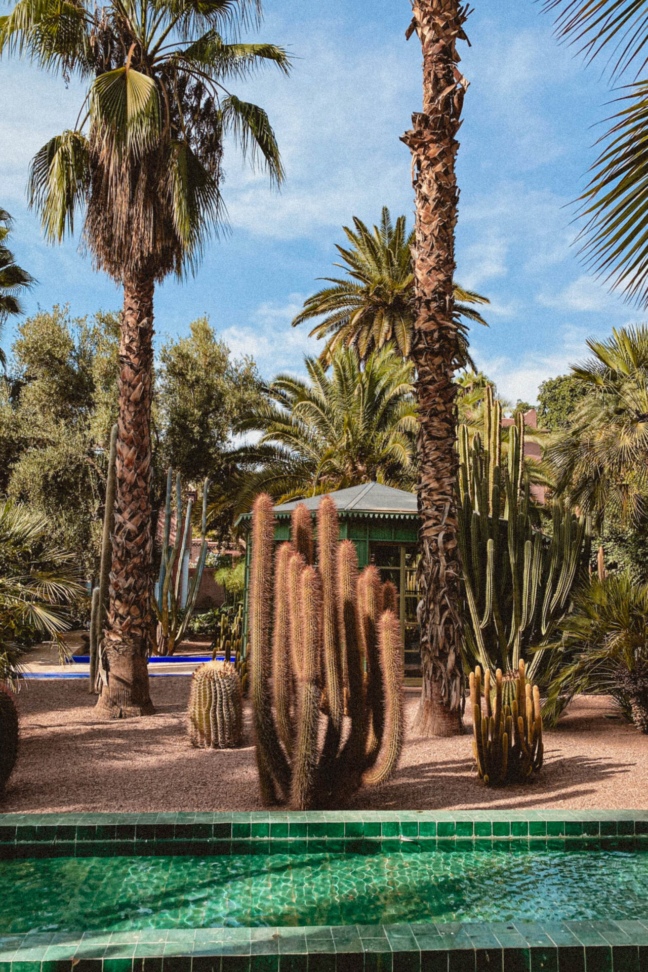 DreamDestinations-Website-Afbeeldingen-Regios-Marokko-Marrakech-20